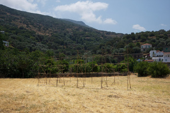 LIBERTAS ?<br/>Καλάμια | Bambous - 4,50 x 1,30cm x 10,60m