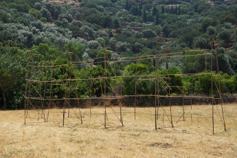 LIBERTAS ?<br/>Καλάμια | Bambous - 4,50 x 1,30cm x 10,60m